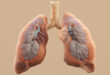 Ayurveda for Asthma