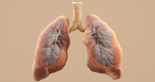 Ayurveda for Asthma