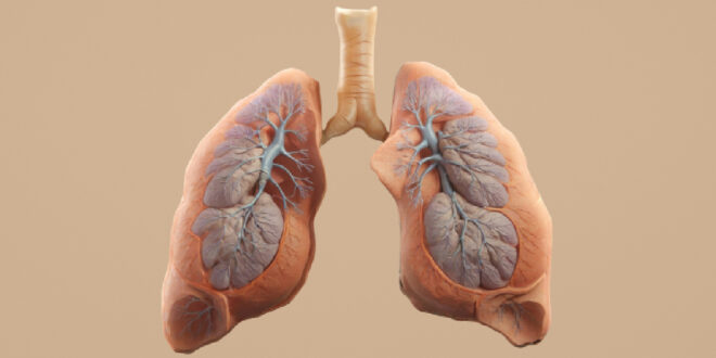 Ayurveda for Asthma