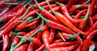 Wellhealthorganic Com Red Chilli You Should Know About Red Chilli Uses Benefits Side Effects