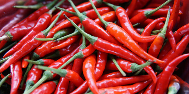 Wellhealthorganic Com Red Chilli You Should Know About Red Chilli Uses Benefits Side Effects