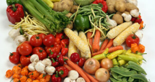 wellhealthorganic com vegetarian protein sources