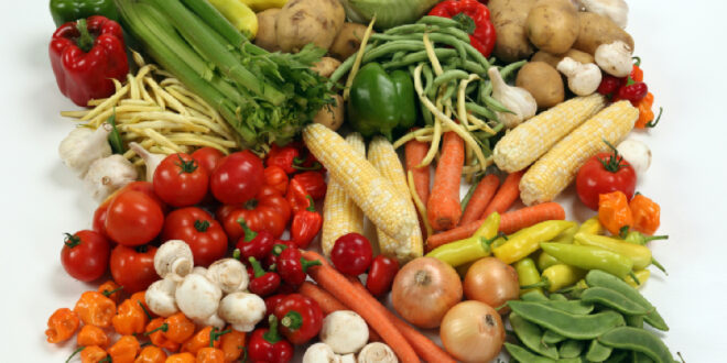 wellhealthorganic com vegetarian protein sources