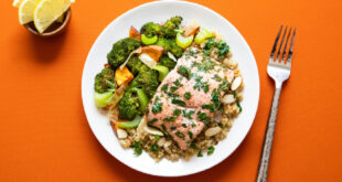 Wellhealthorganic High Protein Rich Food For Vegetarians To Boost Your Health