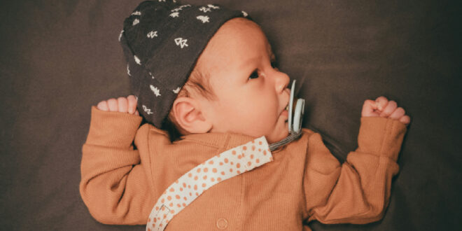 The Spark Shop 6-9 Months Old Baby Clothes