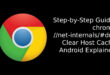chrome //net-internals/#dns clear host cache android