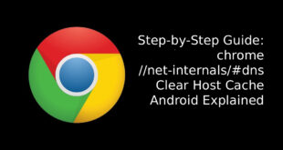 chrome //net-internals/#dns clear host cache android