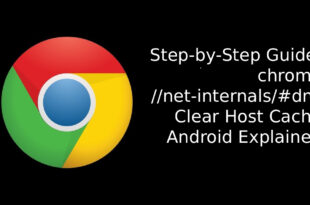 chrome //net-internals/#dns clear host cache android