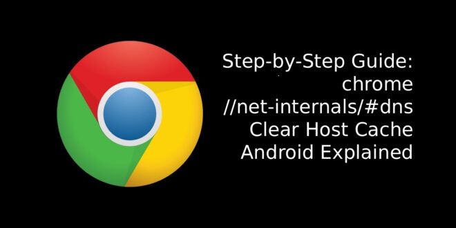 chrome //net-internals/#dns clear host cache android